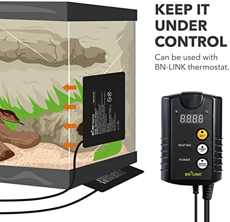 כרית חימום זוחלים עמידה של BN-Link עמידה 6 x 8 עם תרמוסטט דיגיטלי תחת חדר מחמם טנקים חממה יותר משולבת לצבים, לטאות, צפרדעים וזוחלים אחרים