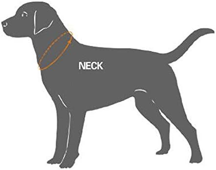 OCSOSO® חדש מרופד נושם נושם רך צווארון לחיות מחמד 3M שעת לילה מהורהר כלב/חתול צווארון מאמן לצווארון קטן/בינוני/כלבים, עיצוב אבזם קל, כתום/שחור/ירוק