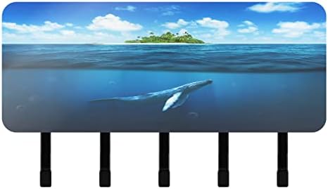 קסיגואה כחול לווייתן תחת אי מפתח מחזיק עבור קיר, עצמי דבק מפתח מתלה עם מדף 5 ווים - קיר הר דואר ארגונית עבור דלת כניסה מסדרון ולמשרד
