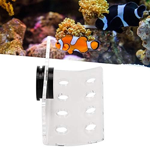 אקווריום ימי אלמוגים מדפי סוגר מחזיק דגי אקווריום כפתור מסגרת משופר יניקה כוס אקווריום צמח מחזיק
